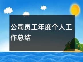 公司員工年度個人工作總結(jié)