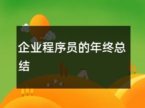 企業(yè)程序員的年終總結(jié)