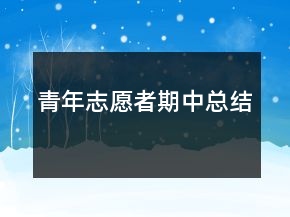 青年志愿者期中總結(jié)