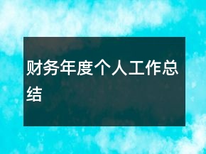 財務(wù)年度個人工作總結(jié)