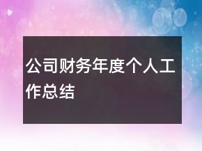 公司財(cái)務(wù)年度個(gè)人工作總結(jié)