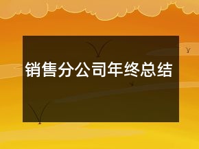 銷售分公司年終總結(jié)