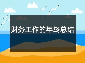 財務工作的年終總結(jié)