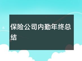 保險公司內(nèi)勤年終總結(jié)