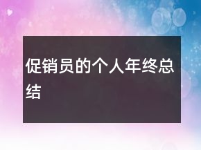 促銷員的個人年終總結(jié)
