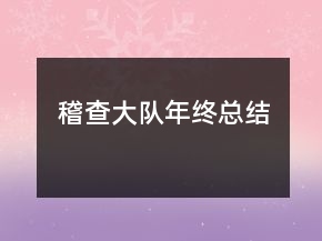 稽查大隊年終總結(jié)
