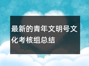 最新的青年文明號文化考核組總結(jié)