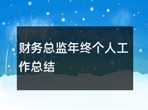 財(cái)務(wù)總監(jiān)年終個人工作總結(jié)
