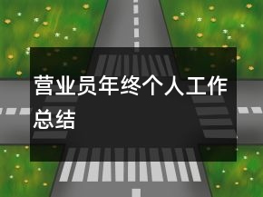 營(yíng)業(yè)員年終個(gè)人工作總結(jié)