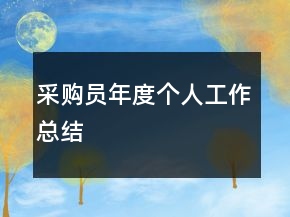采購(gòu)員年度個(gè)人工作總結(jié)