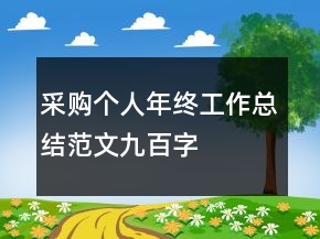 采購個(gè)人年終工作總結(jié)范文九百字