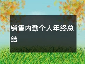 銷售內(nèi)勤個(gè)人年終總結(jié)