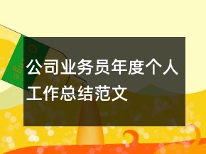 公司業(yè)務員年度個人工作總結范文
