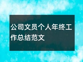 公司文員個(gè)人年終工作總結(jié)范文