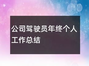 公司駕駛員年終個(gè)人工作總結(jié)