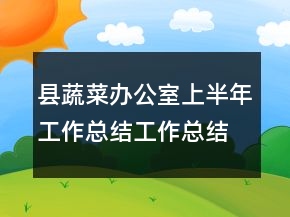 縣蔬菜辦公室上半年工作總結(jié)工作總結(jié)