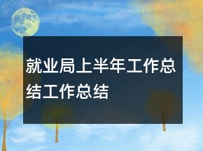 就業(yè)局上半年工作總結(jié)工作總結(jié)