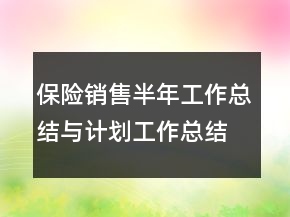 保險銷售半年工作總結(jié)與計劃工作總結(jié)