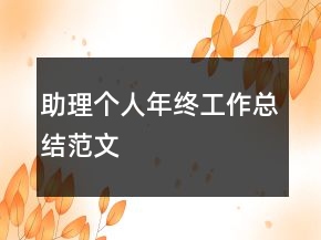 助理個(gè)人年終工作總結(jié)范文