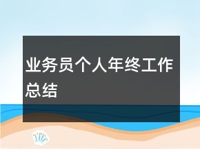業(yè)務(wù)員個(gè)人年終工作總結(jié)