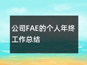 公司FAE的個(gè)人年終工作總結(jié)