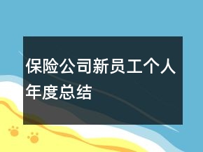 保險公司新員工個人年度總結(jié)