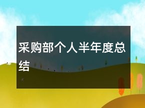 采購部個人半年度總結(jié)