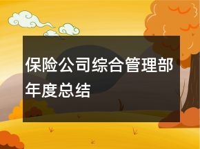 保險(xiǎn)公司綜合管理部年度總結(jié)