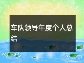 車隊領(lǐng)導(dǎo)年度個人總結(jié)