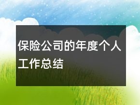 保險公司的年度個人工作總結(jié)
