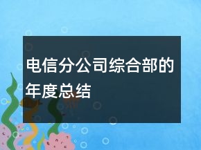 電信分公司綜合部的年度總結(jié)