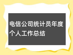 電信公司統(tǒng)計員年度個人工作總結(jié)