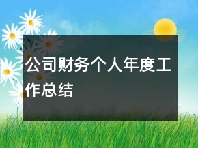 公司財(cái)務(wù)個(gè)人年度工作總結(jié)