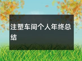 注塑車間個人年終總結(jié)