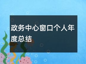 政務(wù)中心窗口個(gè)人年度總結(jié)