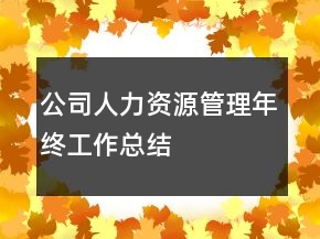 公司人力資源管理年終工作總結(jié)