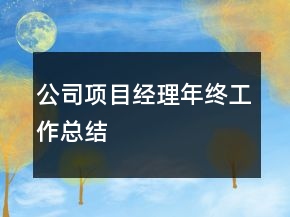 公司項(xiàng)目經(jīng)理年終工作總結(jié)