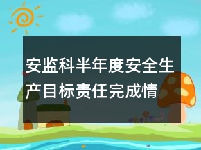安監(jiān)科半年度安全生產(chǎn)目標責任完成情況總結(jié)