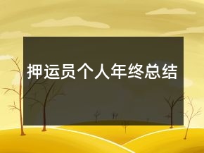 押運(yùn)員個(gè)人年終總結(jié)