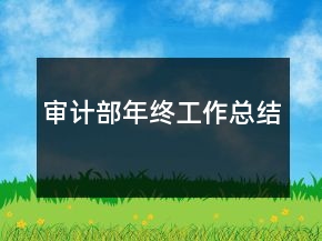 審計(jì)部年終工作總結(jié)