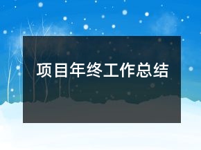 項目年終工作總結