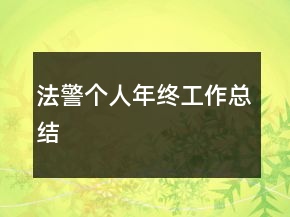 法警個(gè)人年終工作總結(jié)