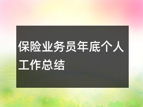 保險(xiǎn)業(yè)務(wù)員年底個(gè)人工作總結(jié)