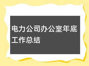 電力公司辦公室年底工作總結(jié)