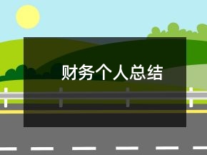 財(cái)務(wù)個(gè)人總結(jié)