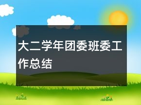 大二學年團委班委工作總結