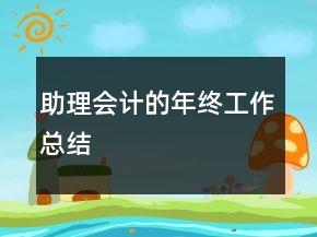 助理會計的年終工作總結(jié)