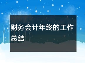 財務(wù)會計年終的工作總結(jié)