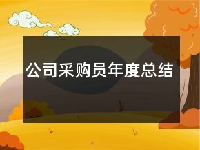 公司采購員年度總結(jié)