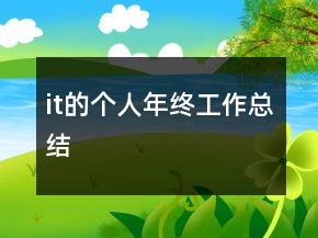 it的個(gè)人年終工作總結(jié)